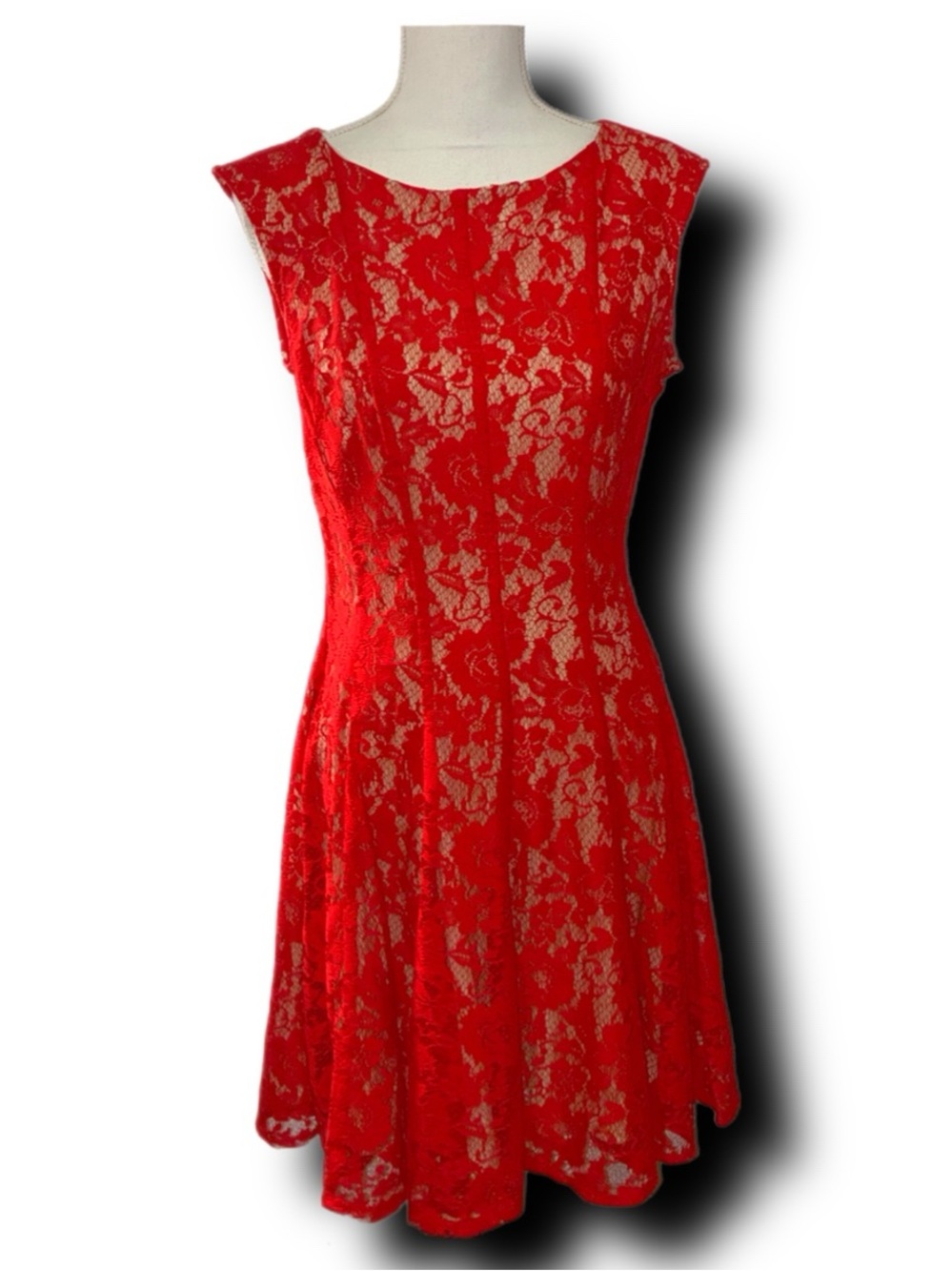 Red Lace Overlay Fit-and-Flare Dress - Classic Women's Cocktail Party Dress